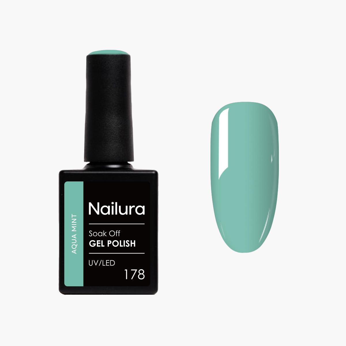 178 - Aqua Mint